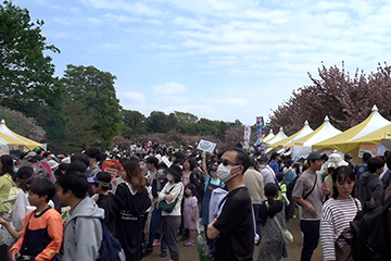 石神井公園芝広場（照姫まつり）