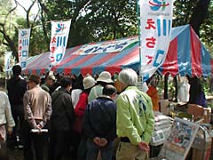 石神井公園、照姫まつり