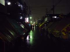 ���U�ւ̃{���s